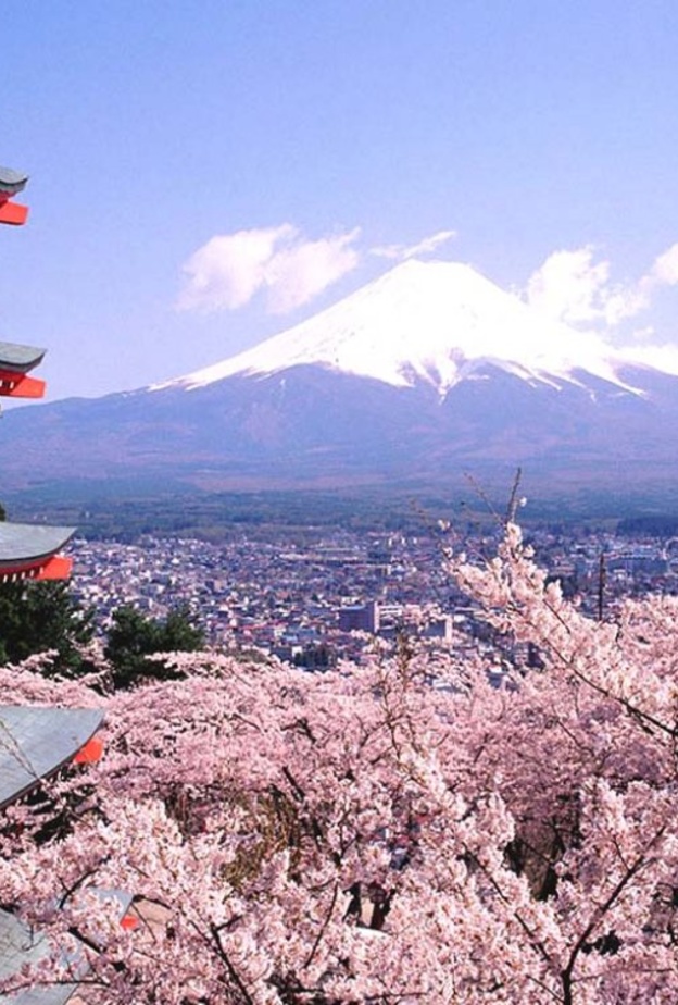 جزيرة هونشو