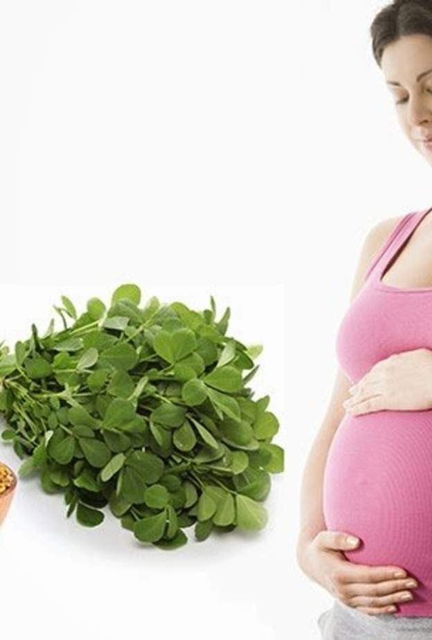 ما هي فوائد الحلبة للمرأة التي تريد الحمل وطرق إستعمال الحلبة للحمل؟