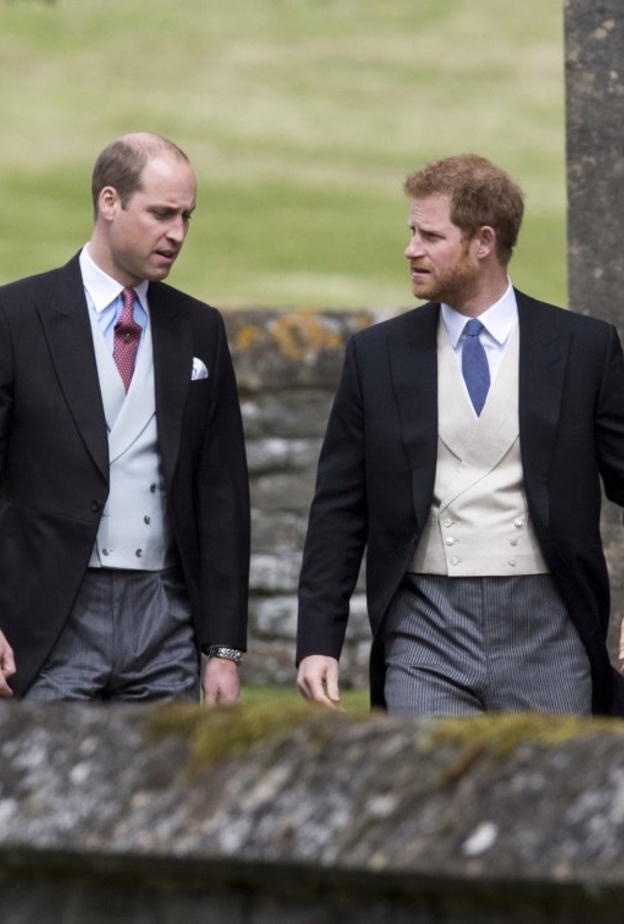 الأميران وليام و هاري يشعران بأنهما خذلان والدتهما الأميرة ديانا