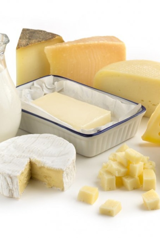 الحليب ومنتجاته من أهم مصادر البروبيوتيك