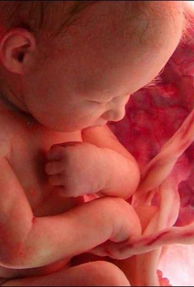 هل يتذوق الجنين الطعام في رحم امه ؟