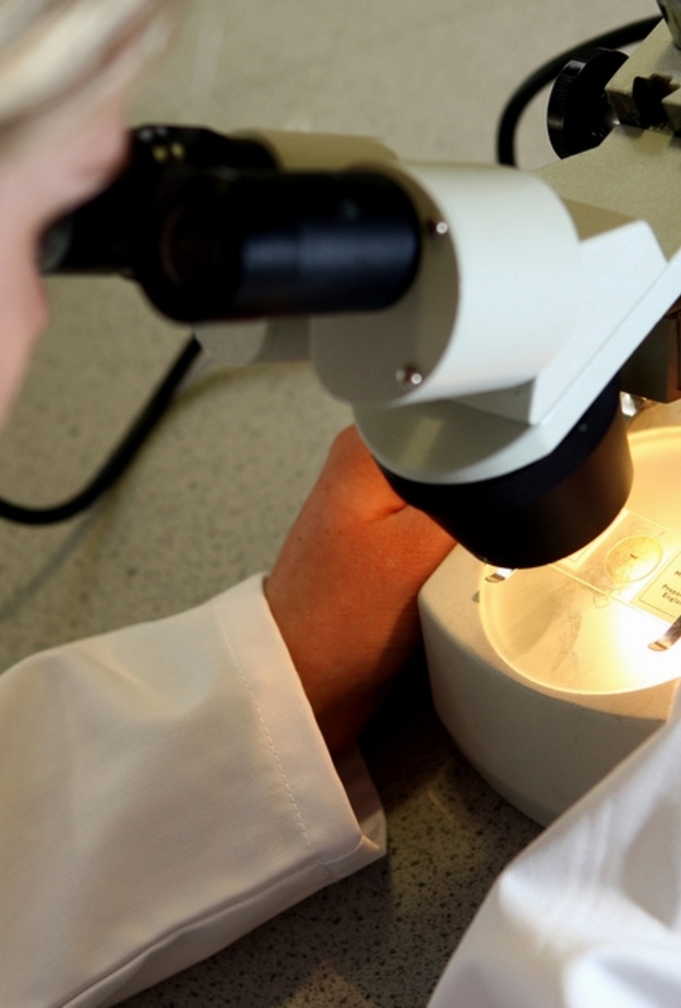 هل يساعد الذهب في مكافحة سرطان الرئة