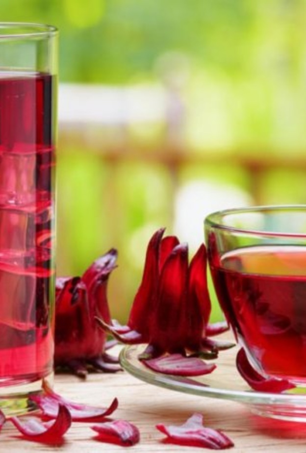 الكركدية ينشط الدورة الدموية في الجسم