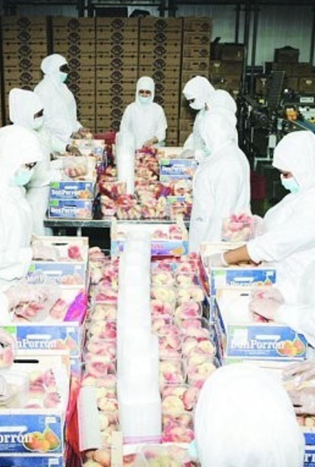 تخصيص 200 بسطة للسيدات في سوق بالسعودية