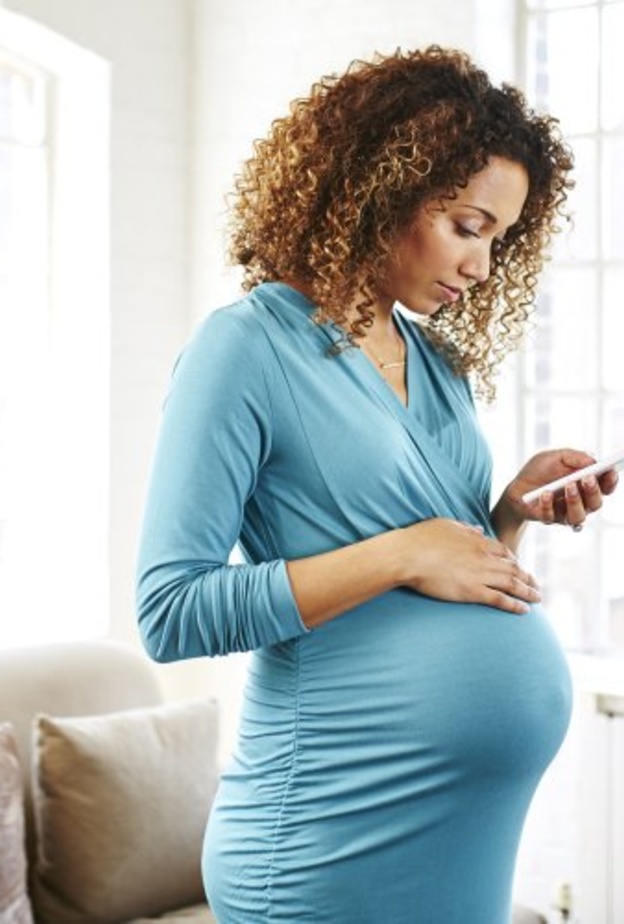 برنامج Sprout Pregnancy