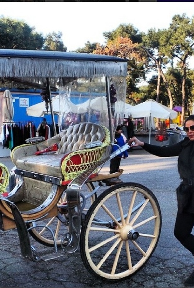  أحلام في جزيرة الأميرات