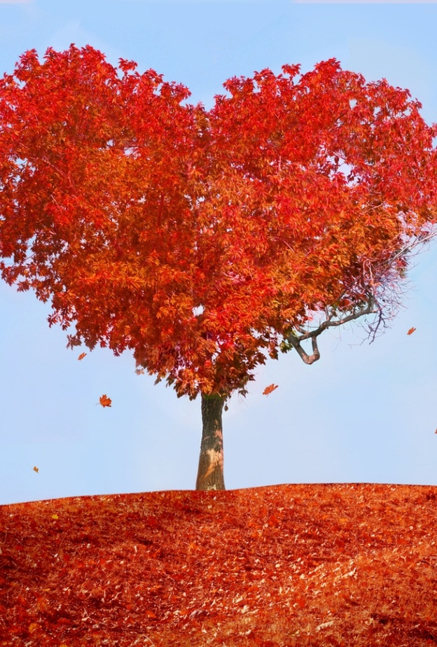 إحموا قلوبكم من مشاعر الكره