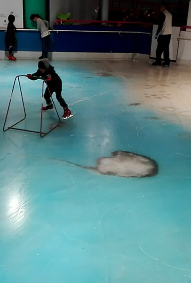 أسماك حقيقية ورسومات ثلاثية في الحلبة المجمدة