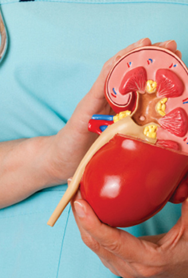 أهم أعراض الفشل الكلوي