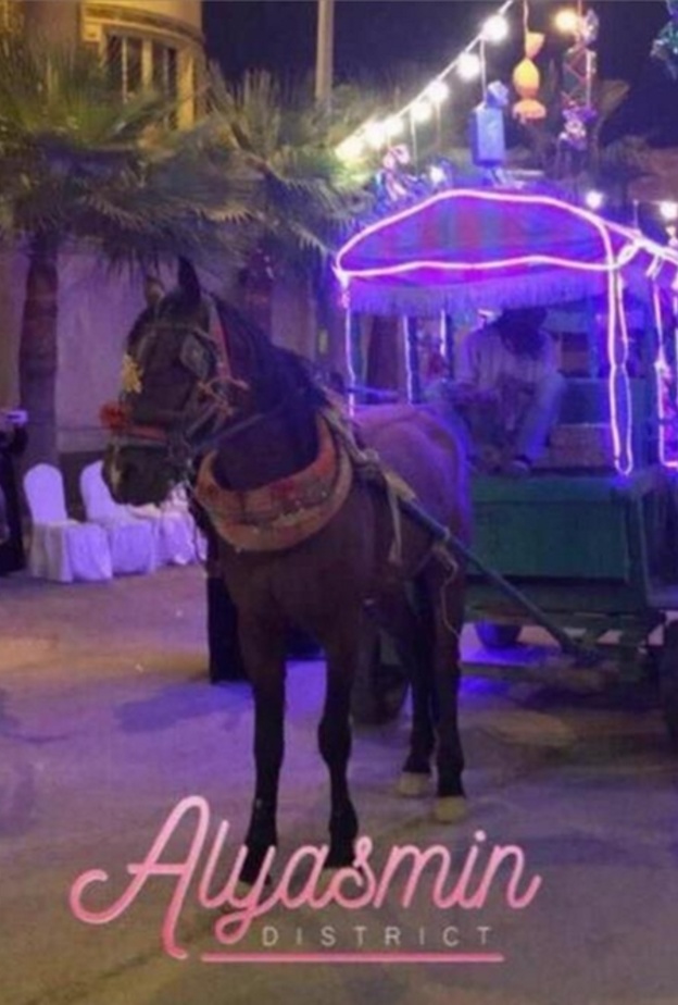 فرحة الاطفال بالاحتفالات