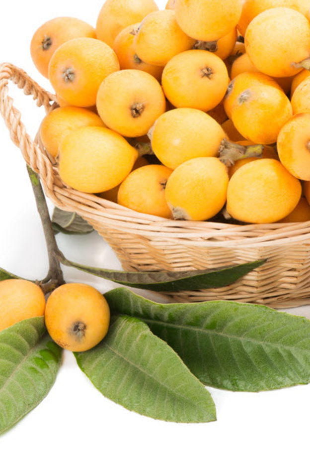 فوائد اسكدنيا للصحة والرشاقة