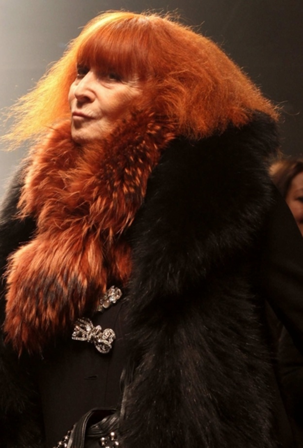 اشتهرت سونيا ريكييل بشعرها الأصهب وقد استوحي منه الكثير من التصاميم وأفكار للعروض لمجموعات الدار