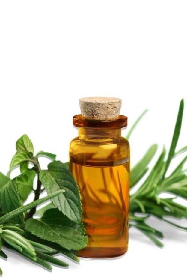 اكليل الجبل العنصر الرائع لجمالك 