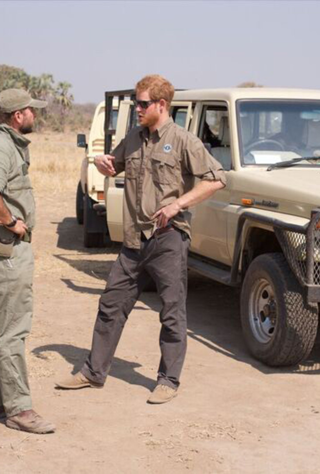 الأمير هاري ساهم في نقل مزيد من الحيوانات في أفريقيا