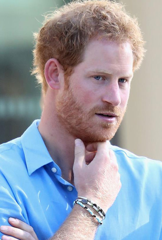 الأمير هاري قابل دارين سامي