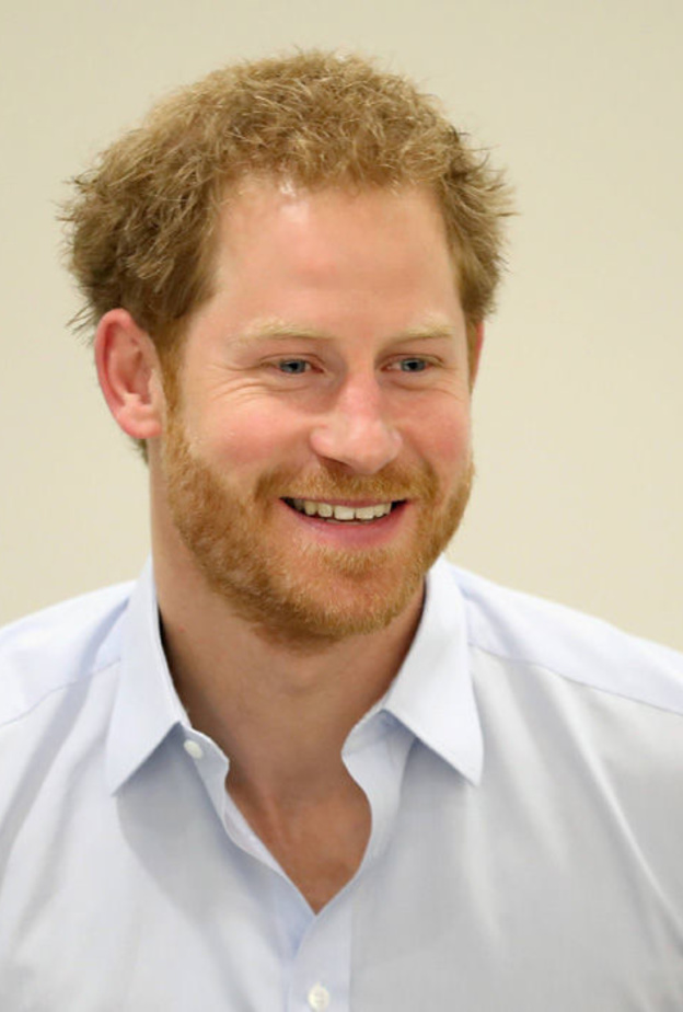 الأمير هاري