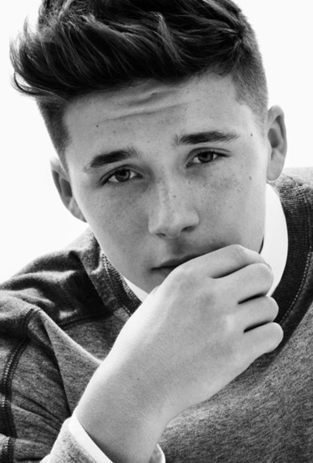  عاشق للشهرة