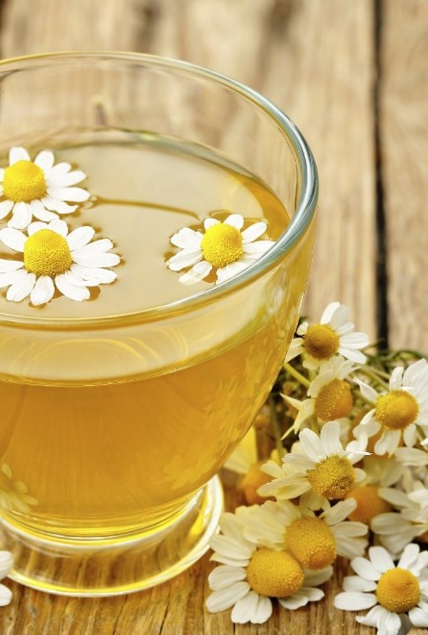 البابونج العلاج السحري للالتهابات