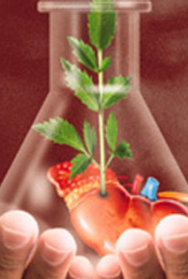 التبرع بالاعضاء