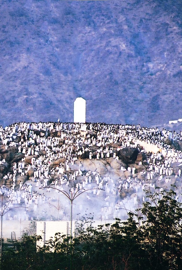 تطبيقات الحج في الهواتف الذكية تساهم في توعية جميع الحجاج 