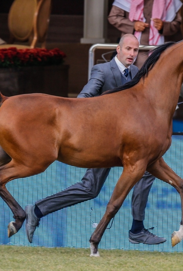 الجوادا لعربي في مهرجان الخالدية