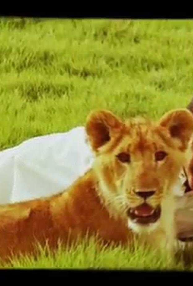 السعودي أسامة الدغيري يتحدث إلى الحيوانات