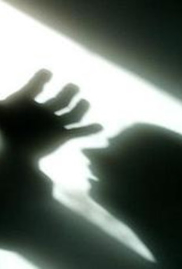 وحشية خادمه