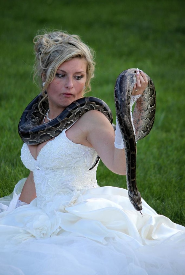 العروس ورعب الأفعى