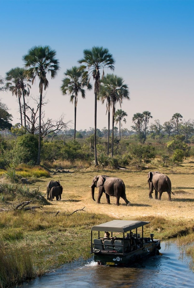 الغابات المفتوحة