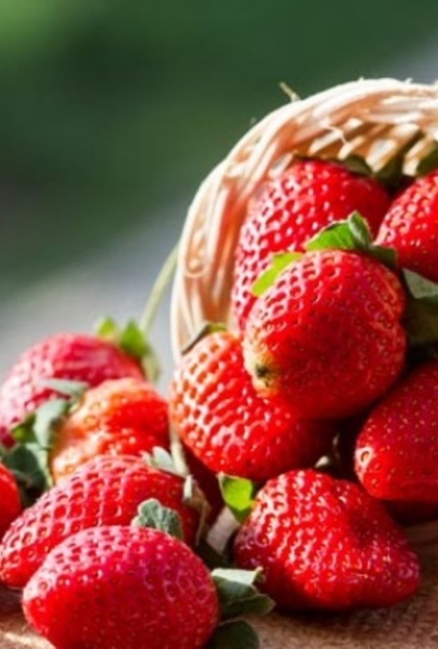 الفراوله صديقه الهرمونات