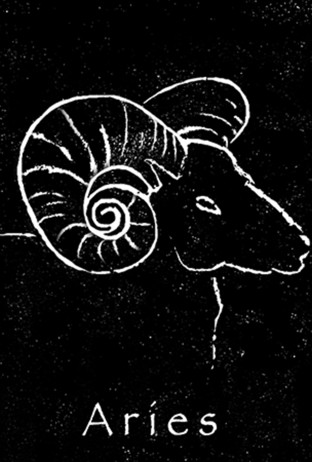 الفلك ينصحك بعدم اتخاذ اي قرار هذا العام وعدم القيام بمغامرات غير محسوبة