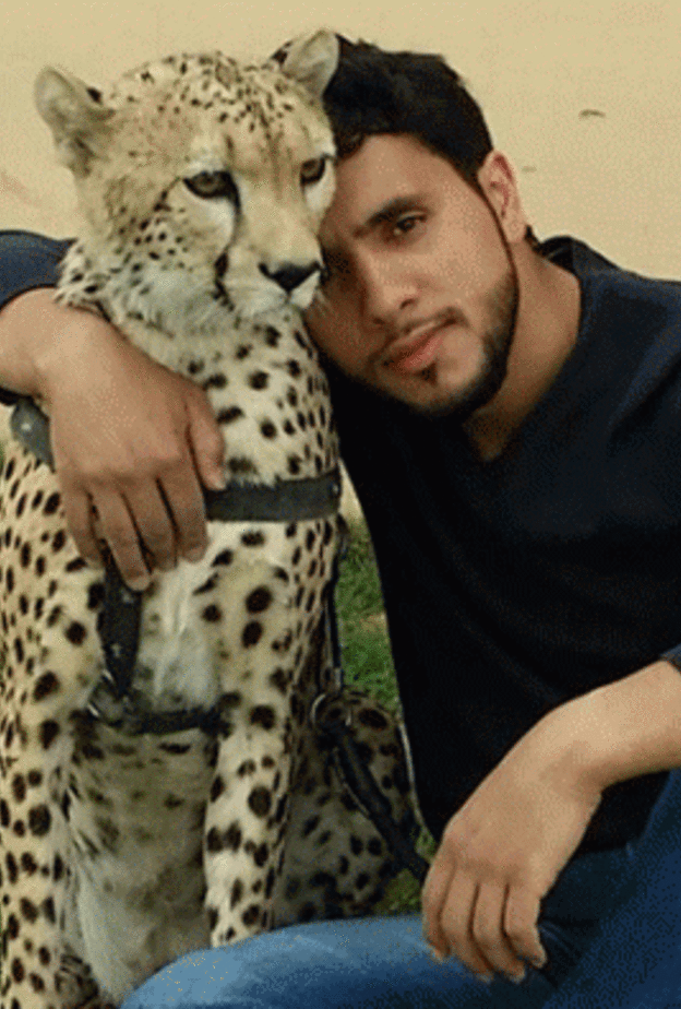 الفهد مع مالكه