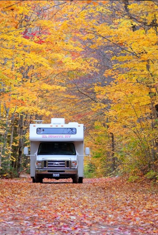 القيادة في الخريف ليست سهلة دائما