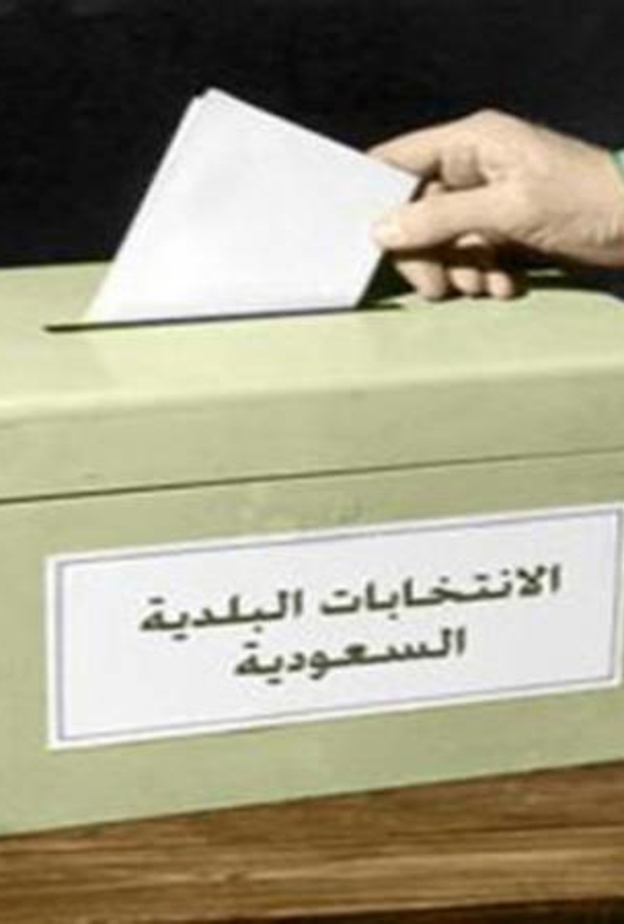 المشاركة في الانتخابات