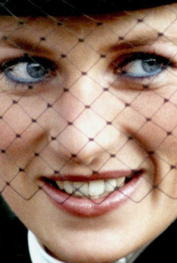 ديانا حزينة بهذه الصورة الرسمية