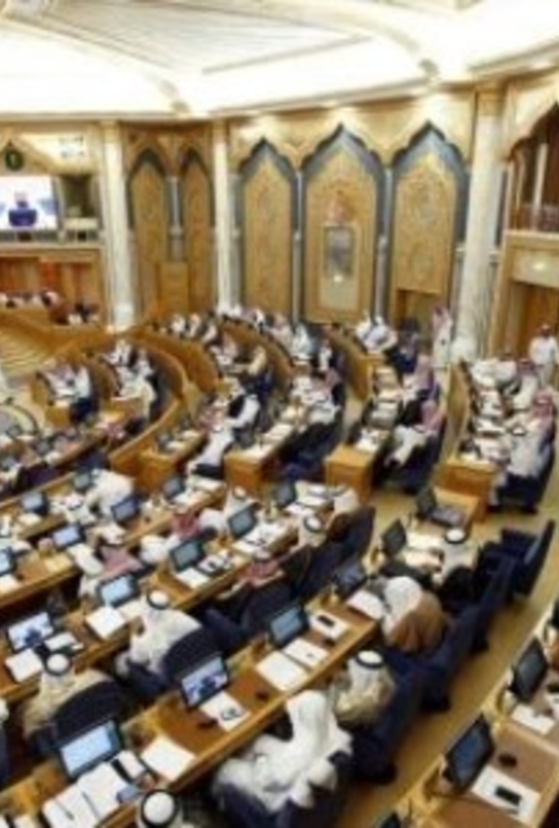 انضمت الدكتورة سلطانة البديوي الى مجلس الشورى