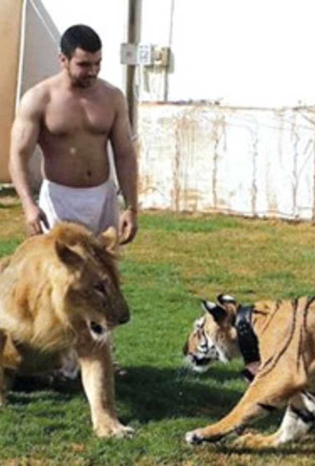 تدريب الصلال للحيوانات المفترسة