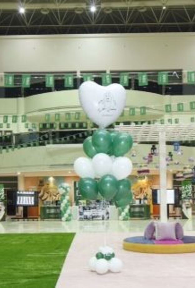 جامعة الامير سلطان للبنات 