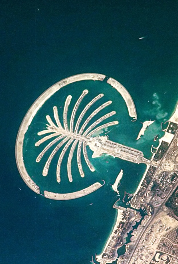 جزيرة النخلة