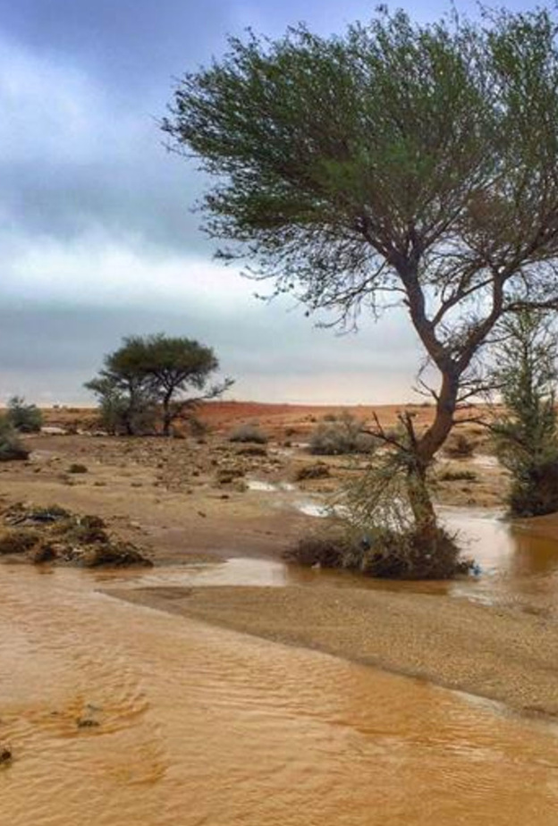جمال المطر في السعودية