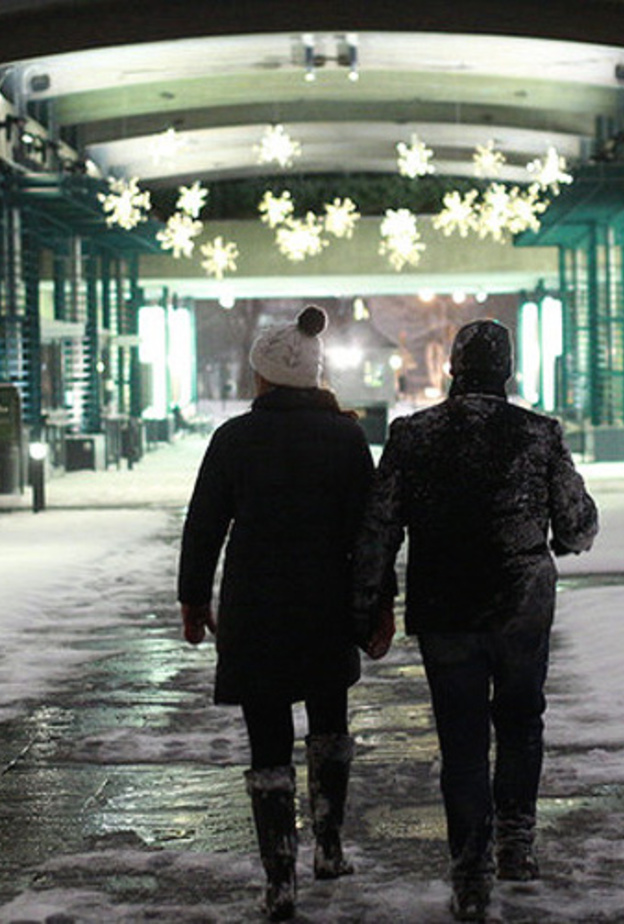 جولة ليلية في حديقة نيويورك النباتية