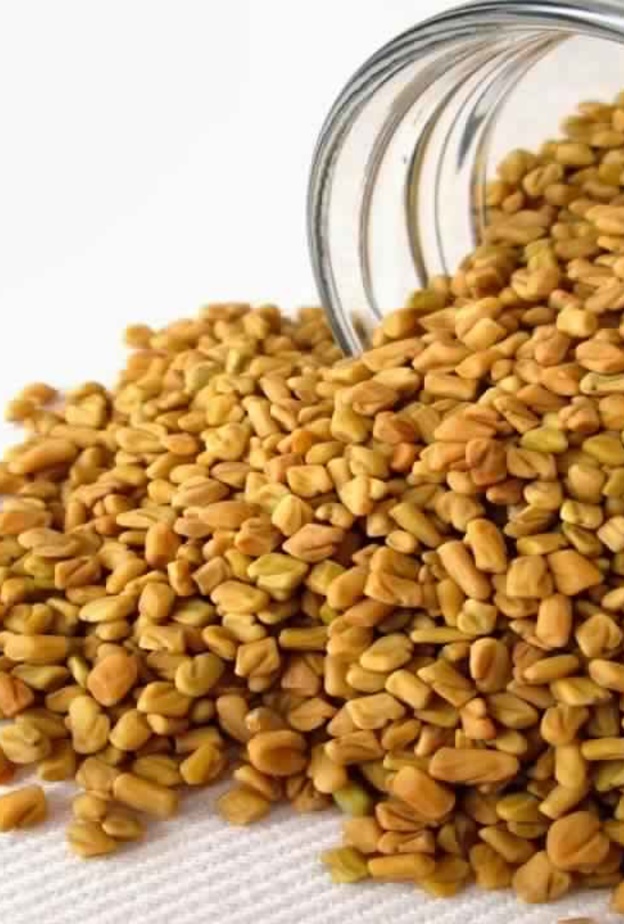 تتميز الحلبة بالعديد من المعادن و العناصر المفيدة في علاج العديد من الأمراض