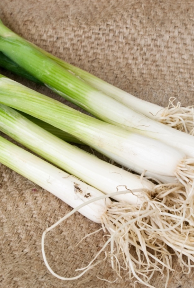البصل الأخضر يحمي القولون من السرطان