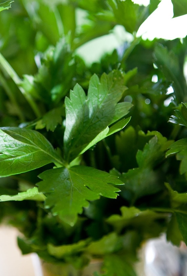 البقدونس غني بمضادات الأكسدة و مضادات الإلتهاب