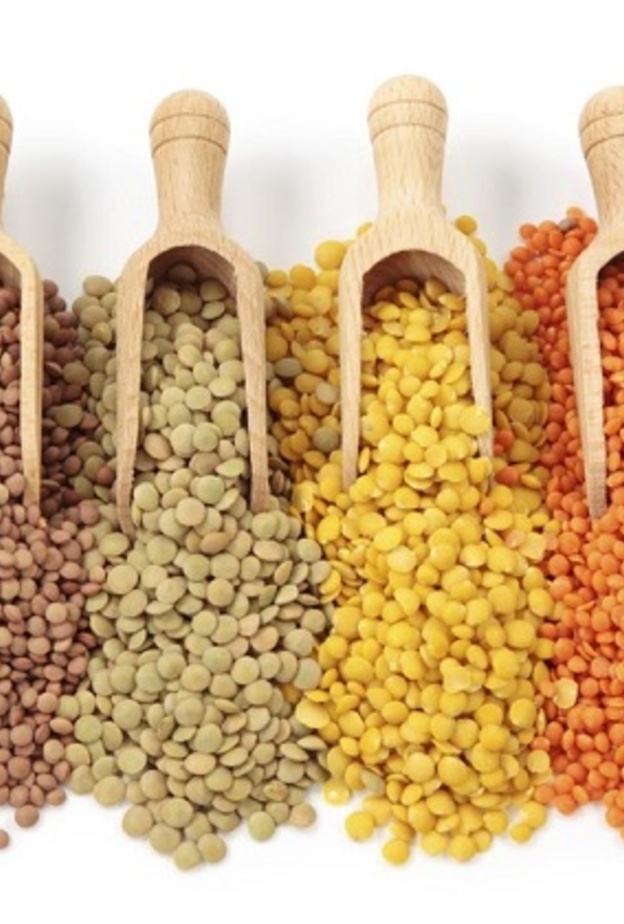 العدس مهم لتوازن مستوى الكوليسترول في الدم