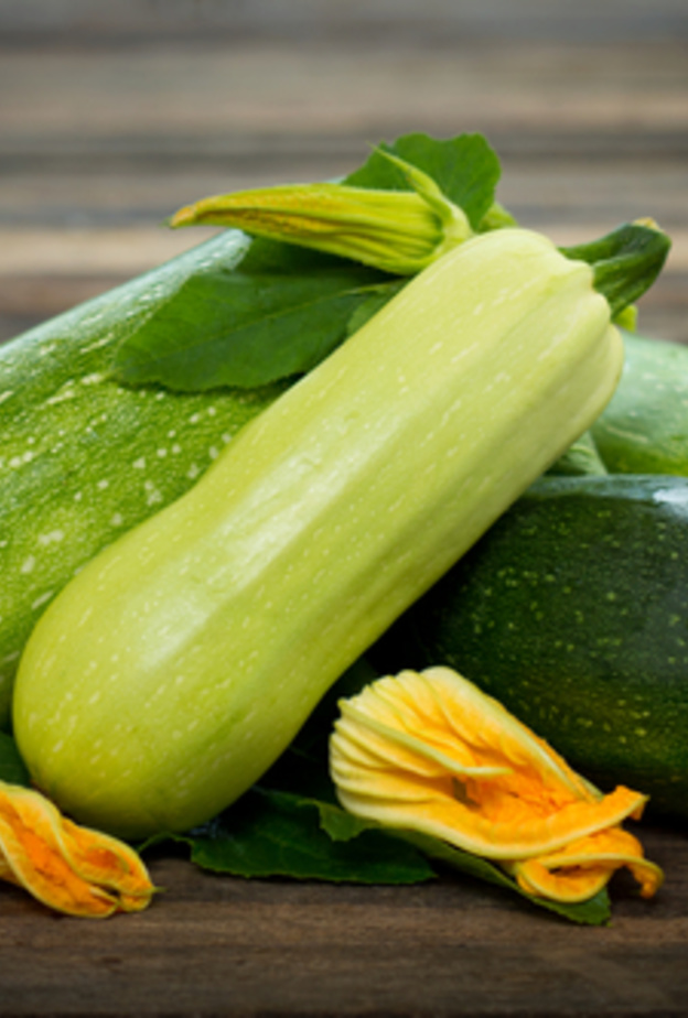  الكوسا تعوض السوائل في الجسم لاحتوائها على الماء