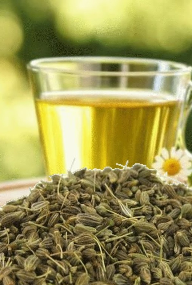 اليانسون مضاد للأكسدة ومقاوم للبكتيريا و الفيروسات
