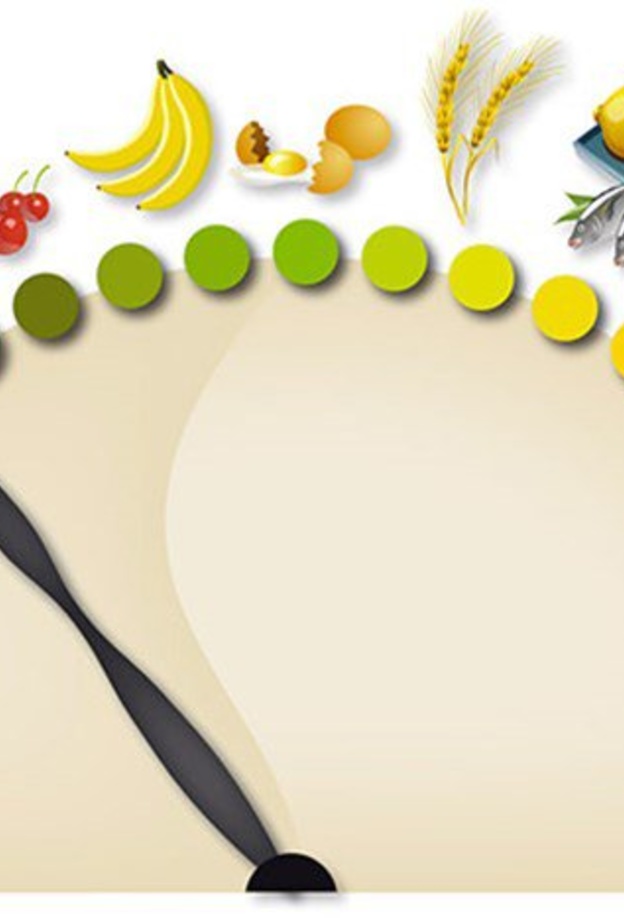 الاطعمه القلويه تعادل حموضه الجسم