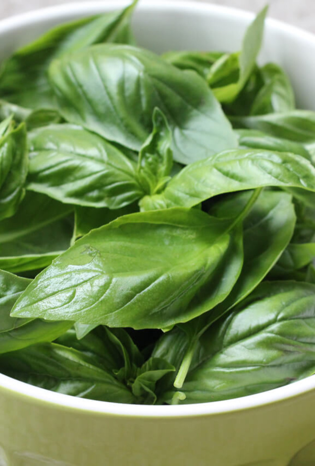 الريحان افضل عشبه تستخدم في التطهير