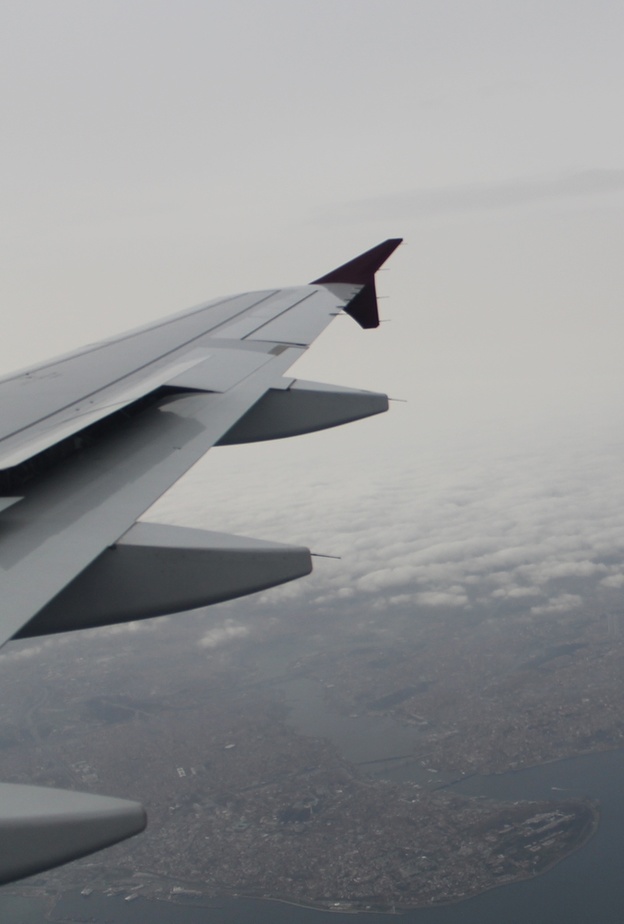 راكب ينهال على آخر ضربا في الطائرة